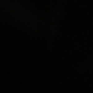 Meet your Posher, Frankie